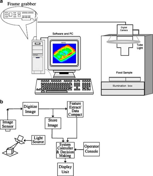 機器視覺在農業產品篩選中的創新應用與技術解析