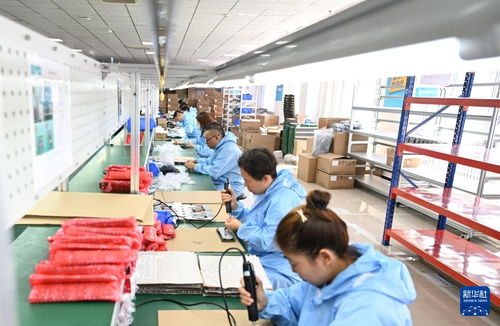 哈爾濱新區 涌動創新熱潮，技術服務引領產業振興